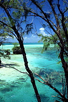 The beach at Ngemelis island, on the outer fringing reefs of Palau's Rock Islands area, The Republic of Palau, Micronesia, western Pacific Ocean.