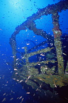 wreck of the Spanish cargo ship Francisquita, sunk off Menorca 17th December 1952