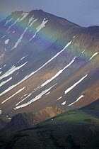 Rainbow set against mountains of the Alaska Range near the Toklat River, Denali National Park, Alaska, USA