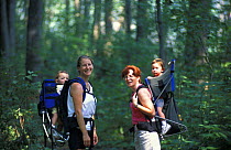 Mothers taking their babies for a hike through the forest near Meadow Pond, Stephenson's Way, Groveland, Massachusetts, USA