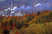 Boise Cascade paper mill surrounded by autumn woodland, Rumford, Maine, USA