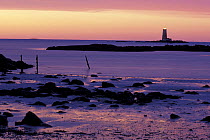 Mouth of the Piscataqua River, Fort Foster and Whaleback Lighthouse at sunrise in winter, Kittery, New Hampshire, USA