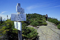 Hiker on the Goose Eye Mountain trail with sign for crossing the Mahoosuc trail (Appalachian trail) in the White mountains, Maine, USA