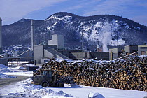 Logs waiting to be processed into pulp and paper at paper mill, Berlin, New Hampshire, USA