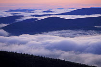 Sunrise and sea of clouds / fog viewed from Sugarloaf Mountain, Cohos Trail, Nash Stream State Forest, Stratford, New Hampshire, USA