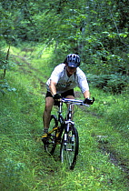 Mountain Biking on Providence Pond Loop Trail, White Mountains, Chatham, New Hampshire, USA