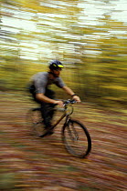 Mountain Biking on an old logging road near Loon Mountain, White Mountains, New Hampshire, USA