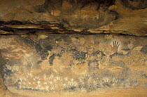 Ancestral Puebloan pictographs of hands in the Needles District. Canyonlands National Park, Utah, USA