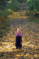 A young girl playing with the autumn leaves on an old logging road on the northern slopes of Rice Hill in the Green Mountains, Wardsboro, Vermont, USA