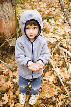 A boy holds salamander eggs near Gulf Brook Ravine in Pepperell, Massachusetts, USA.