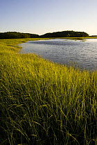 Early evening on the salt marsh in Plum Island Sound, Sawyer's Island, Rowley, Massachusetts, USA
