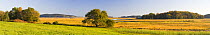 Panoramic view of salt marshes and the Essex River, Cox Reservation, Massachusetts, USA