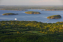 View of Frenchman Bay from Cadillac Mountain, Mount Desert Island, Acadia National Park, Maine, USA.