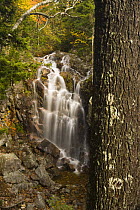 A waterfall along Hadlock Brook as seen from Waterfall Bridge, Acadia National Park, Maine, USA