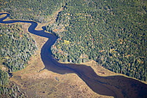 Aerial view of a tidal creek flowing through the Bass Harbor Marsh, Acadia NP, Maine, USA