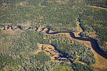Aerial view of a tidal creek flowing through the Bass Harbor Marsh, Acadia NP, Maine, USA