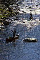 Poling canoes on the Ashuelot River, a tributary of the Connecticut River, Surry, New Hampshire, USA
