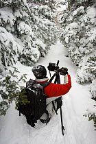 A photographer in fresh snow on the Mount Willard Trail, Crawford Notch State Park, White Mountains, New Hampshire, USA