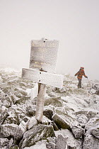 Man winter hiking. Rime ice covers the rocks and a trail sign on Mount Washington, White Mountains, New Hampshire, USA. Nelson Crag Trail. March. model released