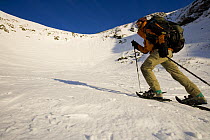 A man walking in snowshoes in Tuckerman Ravine, White Mountains, New Hampshire, USA. model released