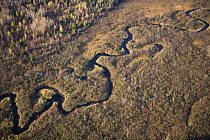 Aerial view of the boggy wetlands of the Nulhegan River in Ferdinand, Vermont, USA. Near Island Pond. Conte National Wildlife Refuge.