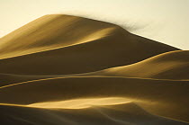 Close to the city of Swakopmund a sand dune is on the move. The landscape of the Namib Dunes is formed by the powerful force of desert winds. These winds gradually push the dunes in a north-westerly d...