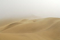 Fog over the sand dunes of the Namib desert, Namibia - an important source of water for the desert animals.