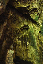 Gomantong caves, part of main chamber roof, Sabah, Borneo, September 2008