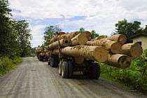Logging trucks leaving Danum Valley, Sabah, Borneo, September 2008
