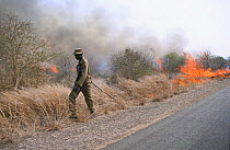 Controlled bush fire set by rangers in Kruger NP, South Africa, 2003