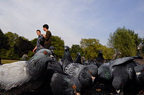 People walking passed flock of Rock doves / Feral pigeons (Columba livia) feeding, London, UK