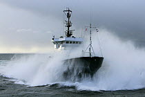 Tug ^Abeille Bourbon^ arriving at Brest in Heavy Weather. Brittany, France, April 2005.