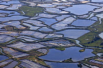 Guérande salt marshes in the Loire Atlantique department of France. July 2008.