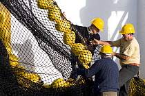 Men in hard hats setting up net on tuna fishing boat "Le Drennec" in Concarneau, Brittany, France. November 2006.