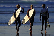 Three surfers chatting as they leave the water at the Festival de la Glisse, La Torche, Brittany, France. 1997.