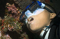 Cleaner shrimp (Lysmata amboinensis) on diver's mouth to clean teeth. Bali, Indonesia