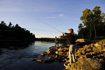 Fly-fishing on the Moose River below the dam on Brassua Lake in Rockwood, Maine, USA. model released