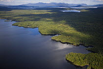 Aerial view of the Eastern shore of Indian Pond, Kennebec River, near Greenville, Maine, USA. A portion of this shoreline is planned as a housing development by Plum Creek.