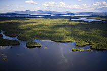 Aerial view of the Eastern shore of Indian Pond, Kennebec River, near Greenville, Maine, USA