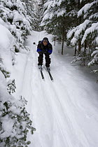 Cross-country skiing near Little Lyford Pond Camps, Maine, USA