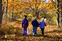 Three children walking along a woodland trail in Biddeford, Maine, USA