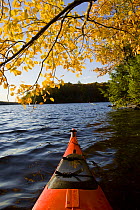 View from Canoe on the Saco River, Hollis, Maine, USA.