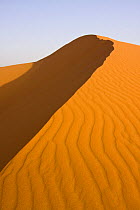Sand dune in the Sahara desert, Erg Chebbi, Southern Morocco, NW Africa