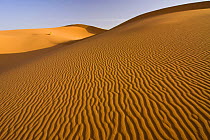 Ripples in sand dunes in the Sahara desert, Erg Chebbi, Southern Morocco, NW Africa