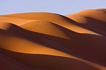 Sand dunes in the Sahara desert at sunrise at the border of Morocco and Algeria, NW Africa