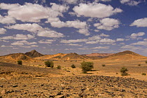 Desert landscape in the Sahara desert, border of Morocco and Algeria. NW Africa