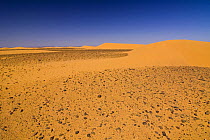 Abstract landscape with sky, sand dunes and stony desert (hammada) in the Sahara desert, Border of Morocco and Algeria. NW Africa