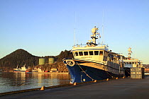 Fishing vessels tied alongside in Egersund Harbour, Norway. December 2008.