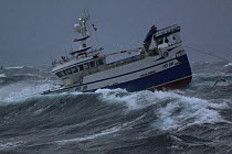 Fishing vessel trawling in heavy seas off the Shetland Islands, December 2008.  Property released.