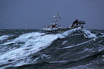 Fishing vessel in heavy seas, trawling to the east of the Shetland Isles. December 2008.  Property released.
